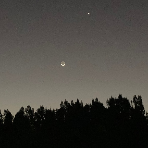 Meet your Posher, Thais - Picture 1 of 1